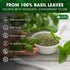 8oz 100% Lavendium, Premium Dried Basil Pure, Non-GMO, Gluten-Free, Vegan Aromatic Culinary Herb for Cooking, Garnish