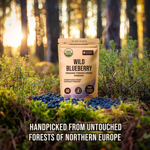 Wild Blueberry Powder Organic, USDA Certified, for Smoothies, Baking, Rich in Antioxidants