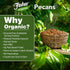 16 oz, Fisher Organic Pecans Halves USDA Certified Organic, Unsalted Raw Pecans, North American Grown, Non-GMO, No
