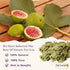 bonballoon (1 Pack 5.29 oz 150 Dry Fig Leaves Dried Natural Tea Pure Premium Leave Ficus Carica Fresh Herbal Herb Herbs