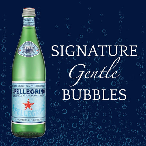 25.3 SAN PELLEGRINO Sparkling Mineral Water, FZ