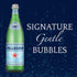 25.3 SAN PELLEGRINO Sparkling Mineral Water, FZ