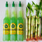Generic 5 Lucky Bamboo 6 inches with Plant Fertilizer, Feng Shui, Bring Good
