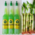 Generic 5 Lucky Bamboo 6 inches with Plant Fertilizer, Feng Shui, Bring Good
