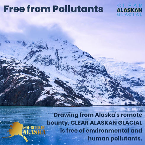 16 Oz (473 ml) Pack 12 Clear Alaskan Fresh Glacier Water, Naturally Alkaline - Bottled in Aluminum with No Plastic | Fl
