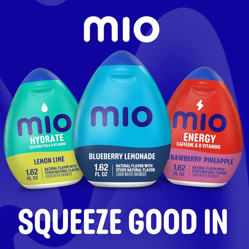 1.62-Ounce (4-Pack) Mio Water Enhancer, Blueberry Lemonade