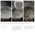 WuFuYuan Boba Tapioca Pearls - Black Sugar Flavor, Ready to Cook in 5 Minutes, 8.8 oz.
