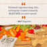 5.5 oz Firehook Sea Salt Crackers Artisan Baked, Uniquely Crunchy, Baked with Simple Ingredients Organic, Non-GMO