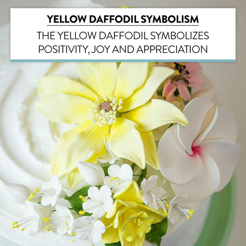 6 Count Global Sugar Art Daffodil Sugar Cake Flowers, Yellow, by Chef Alan Tetreault