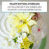 6 Count Global Sugar Art Daffodil Sugar Cake Flowers, Yellow, by Chef Alan Tetreault