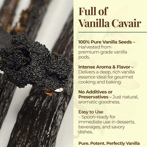 25 ~6-8 inches Whole Vanilla Beans Grade A ++ | Premium Vanilla Bean Pods for Making Extract | |NON GMO. Perfect