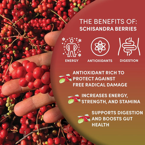 1lb, 100% 16 Worldwide Botanicals Organic Schisandra Berries, tea cut for best infusion. Schisandra chinesis AKA Five