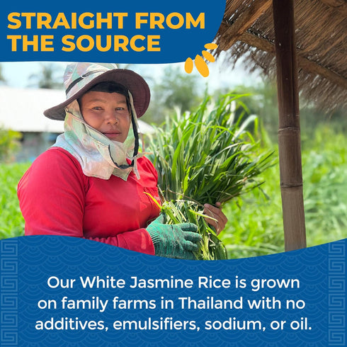 8 Oz (Pack 6) Lotus Foods Organic White Jasmine Rice Heat & Eat Pouch - Gluten Free White Rice, Organic Rice, Instant