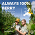 5 Immunity, Jungle Powders Organic Aronia Berry Powder Ounce Bag Freeze Dried Chokeberry Extract from Whole Aronia