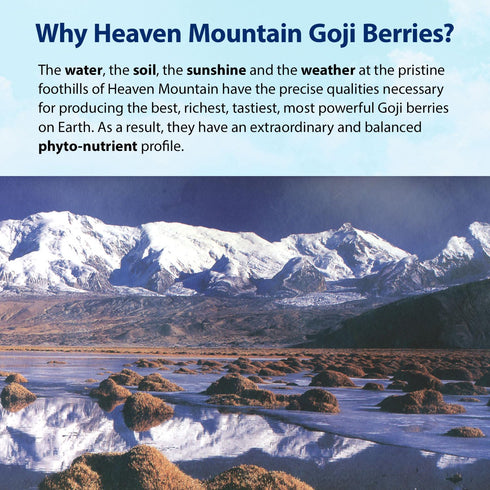 Dragon Herbs Heaven Mountain Goji Berries 8 oz. (227g) - Moist, Fight Stress, Eye Vision Tonic