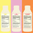 12 Pack (16 oz Saint James Iced Tea - Organic Black Tea - Non GMO, Gluten Free, Zero Calorie & Zero Sugar - Variety