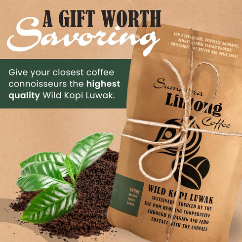 Ground Wild Kopi Luwak 100gr) , the Worlds Most Exclusive Coffee, Sustainably Sourced From Sumatra, Indonesia (Ground