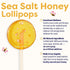 16 Count, 1.4-inch 12g (40 Count (Pack 1), Sparko Sweets Natural Honey Mini Round Lollipops, No Artificial Ingredients