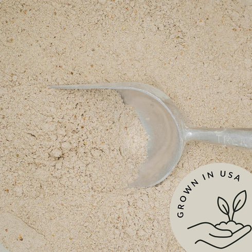 (5.8 lb) 100% Be Still Farms Organic Rye Flour For Bread Bulk - Bread Flour for Baking - Great for Bread Machine