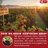 75 100% FreshDrinkUS, Premium Hawthorn Berry Tea - Tea Bags - Natural Herbal Infusion, Caffeine-Free, Rich Aroma