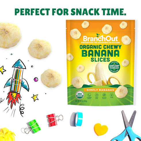 100% 10 oz BranchOut Chewy Banana Slices, No Added Sugar, Fruit, Better than Freeze Dried Banana Chips, Healthy Vegan