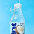 16 Oz (Pack 12) Hint Fruit-Infused Bottled Water, Coconut - Sugar Free Flavored Water with Zero Calories, Naturally