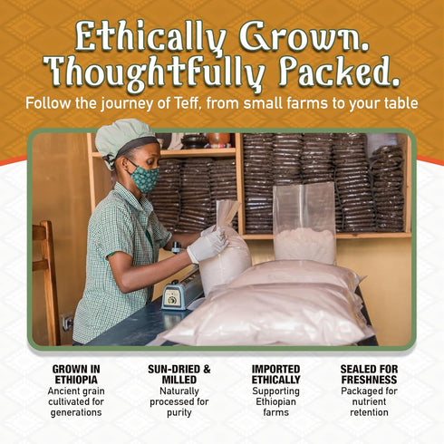 (16oz) Brundo Ethiopian Spice Company | Gluten Free Teff Flour | Hand Picked & Processed Authentic Powdered Ethiopian