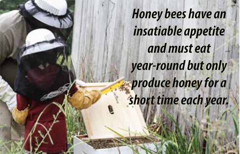 1 HomeBrewStuff Gallon Mead Honey Recipe Refill Kit (Oak and Vanilla)