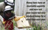 1 HomeBrewStuff Gallon Mead Honey Recipe Refill Kit (Oak and Vanilla)
