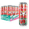AriZona Watermelon, Fruit Juice Cocktail - Big Can, 22 Fl Oz (Pack