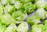 RawJoy Fresh Iceberg Lettuce by Farms