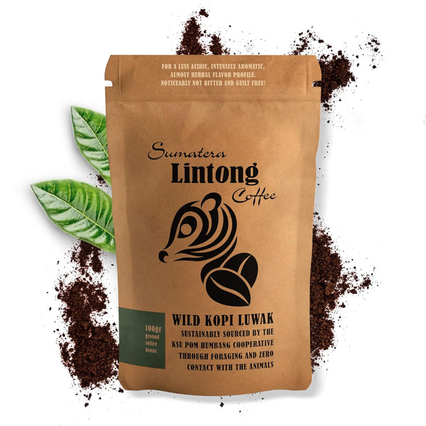 Ground Wild Kopi Luwak , the Worlds Most Exclusive Coffee, Sustainably Sourced From Sumatra, Indonesia (Ground