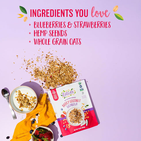 6g 10 Oz Oatsome Berry Coconut Granola, No Sugar Added, Gluten Free, Protein, Made with Whole Grain Organic Oats