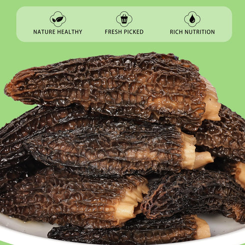 Trimmed (2+ Inches) 2oz Grade100% MillynLike Dried Morel Mushrooms Stems & Large Caps | Gourmet Morchella Conica