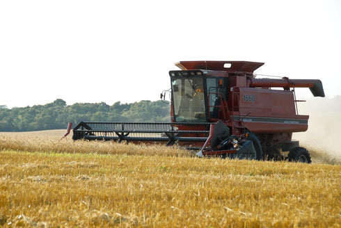 Early Morning Harvest Organic Whole Wheat Flour - Made from Non-GMO Whole Wheat - Stone Ground Flour for Baking