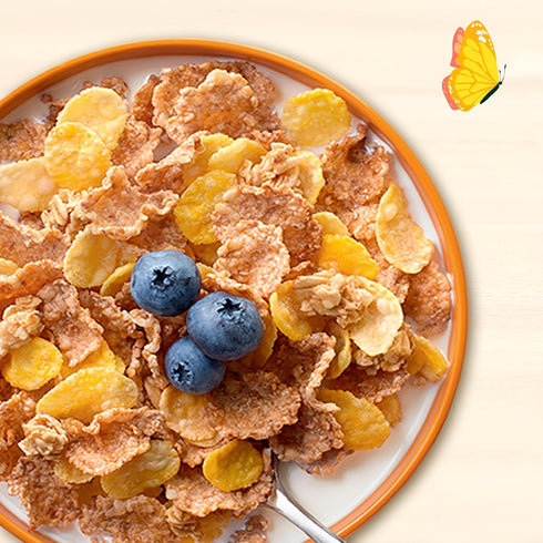 13.5 oz (Pack 5) Cascadian Farm Honey Oat Crunch Organic Cereal, Made with Whole Grain