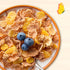 13.5 oz (Pack 5) Cascadian Farm Honey Oat Crunch Organic Cereal, Made with Whole Grain