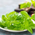6.4 oz, GranAroma Basil Leaves, Dried, Cut & Sifted