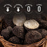 Pairing,14.1oz (400g) Packets Vloong Black Truffle and Prosciutto Soda Crackers with Chia Seeds and Quinoa, Savory