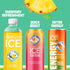 17 oz (Pack 12) Sparkling Ice, Coconut Pineapple Sparkling Water, Zero Sugar Flavored Water, with Vitamins