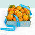 California Citrus Celebration Gift Duo