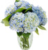 KaBloom - Beauty Bouquet of 6 Blue Hydrangeas with Vase - Fresh