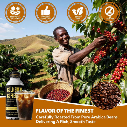 Generic Coffee,12.5 OZ Bottle370ml Cold Brew Coffee,Black Coffee,Arabica-Based Blend, Medium Roast Brewed Low