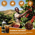 Generic Coffee,12.5 OZ Bottle370ml Cold Brew Coffee,Black Coffee,Arabica-Based Blend, Medium Roast Brewed Low