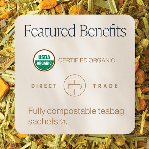 50 Count (Pack 1) Rishi Tea Turmeric Ginger Herbal Tea - Organic Sachet Bags, Caffeine Free Blend with Spicy Ginger