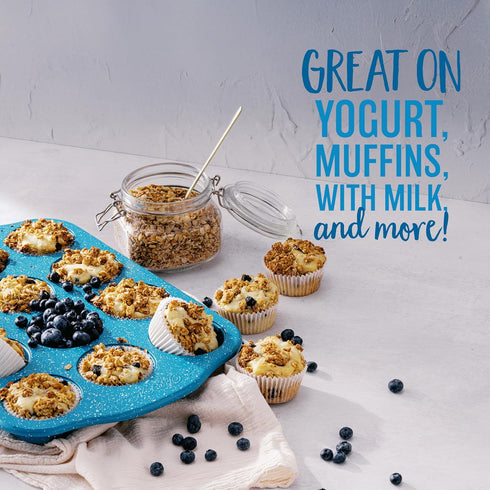 10g 10 Oz Oatsome Blueberry Protein Granola, Protein, Gluten Free, Made with Whole Grain Organic Oats, Real