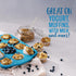 10g 10 Oz Oatsome Blueberry Protein Granola, Protein, Gluten Free, Made with Whole Grain Organic Oats, Real