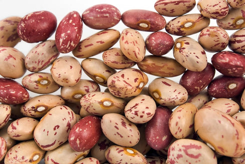 Hunza Natural Foods (2 lbs) Hunza Organic Cranberry Beans