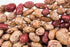 Hunza Natural Foods (2 lbs) Hunza Organic Cranberry Beans