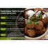 20oz (1.25lbs) 567g Rani Falafel Mix (Chickpeas & Spices Blend for Falafel) PET Jar ~ Gluten Friendly | NON-GMO |